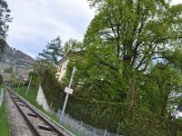 VCP 'Vevey-Chardonne-Mont Pèlerin'